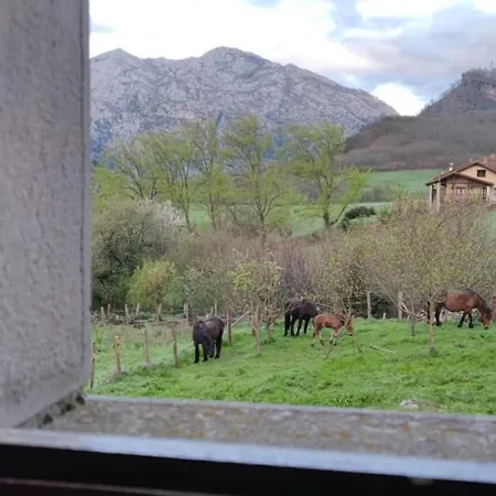 La Escuela - Country house Cicera