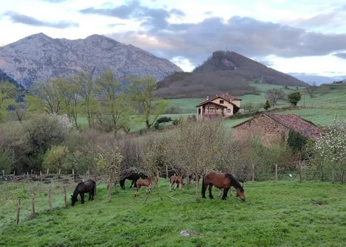 La Escuela - Country house *