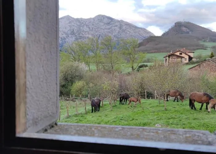 La Escuela - Country house Cicera